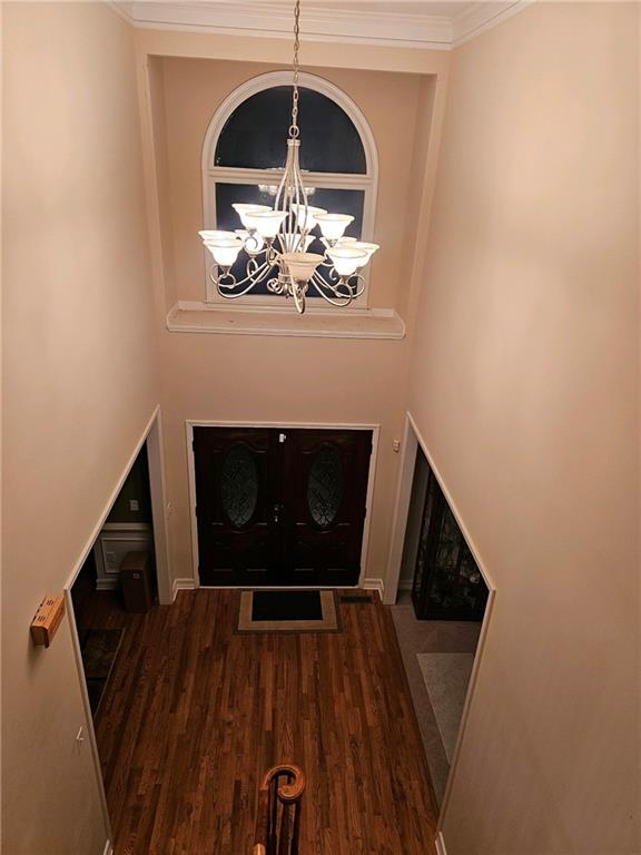 entryway featuring ornamental molding, dark wood-type flooring, and a notable chandelier