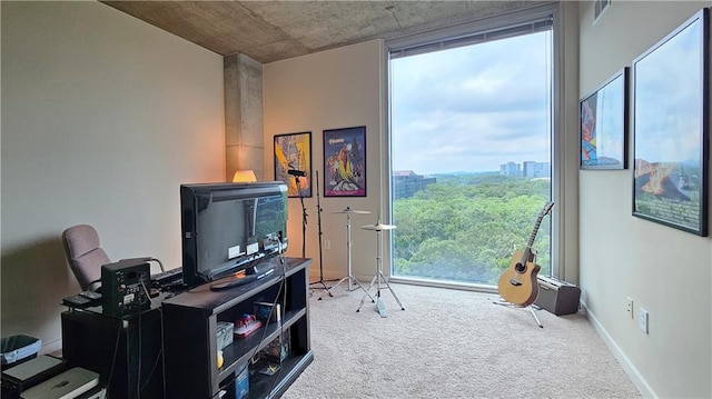 3300 Windy Ridge Parkway SE Unit 1121, Atlanta, GA 30339 - view of carpeted office
