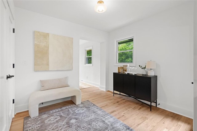 1494 May Ave SE, Atlanta, GA 30316 - living area featuring light wood finished floors and baseboards