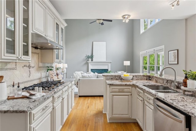kitchen featuring a wealth of natural light, stainless steel appliances, ceiling fan, and a sink