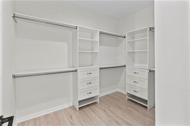 spacious closet featuring light hardwood / wood-style flooring