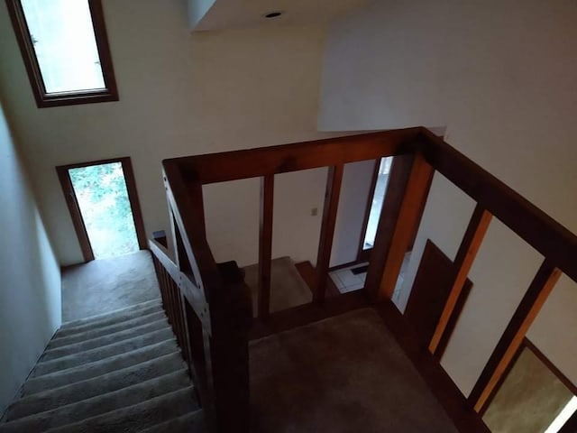 stairway with dark colored carpet and a high ceiling