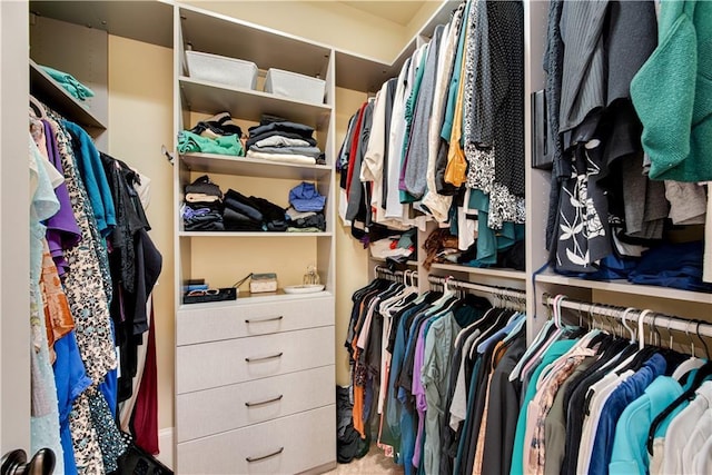 spacious closet with carpet floors