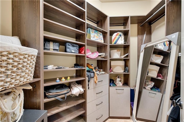 view of walk in closet