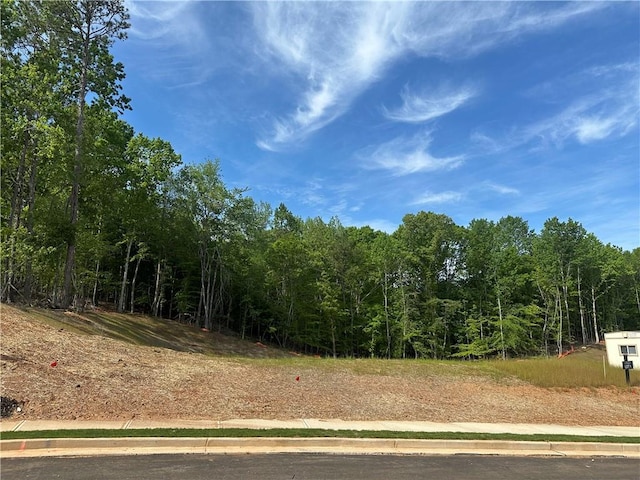 view of local wilderness