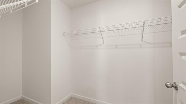 spacious closet with carpet