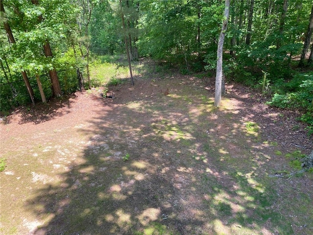 3692 Archgate Ct, Alpharetta, GA 30004 - view of yard with a forest view
