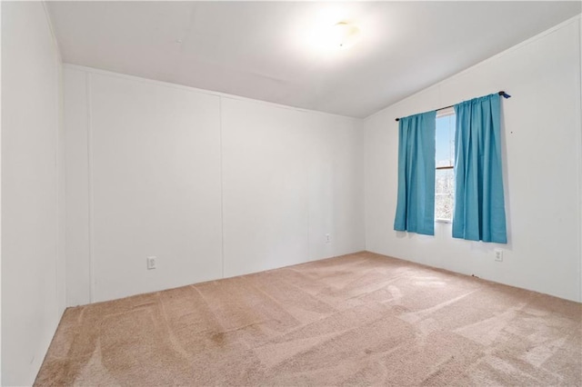 spare room featuring carpet flooring