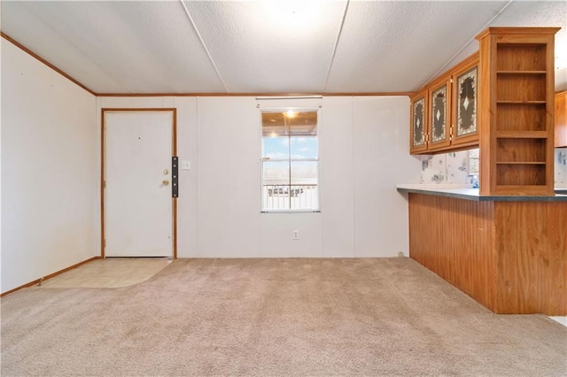 interior space with carpet floors and a textured ceiling