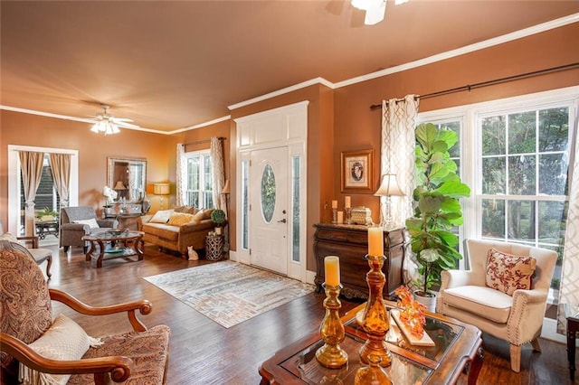 791 E Main St, Canton, GA 30114 - living room featuring ceiling fan, wood finished floors, ornamental molding, and baseboards