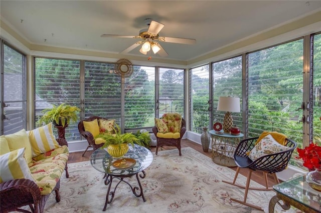 791 E Main St, Canton, GA 30114 - sunroom with a ceiling fan, an outdoor living space, and plenty of natural light