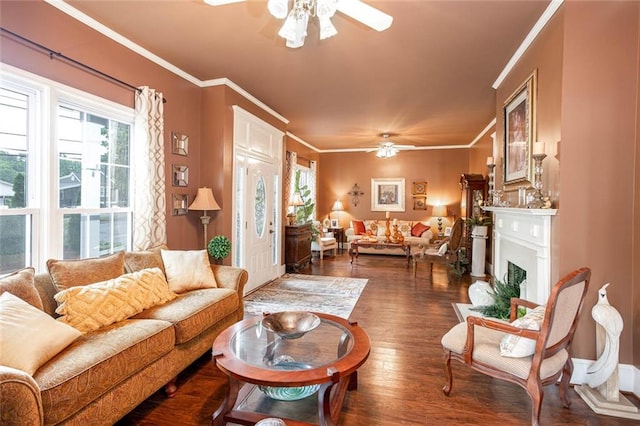 791 E Main St, Canton, GA 30114 - living room featuring a ceiling fan, plenty of natural light, crown molding, dark wood finished floors, and a fireplace