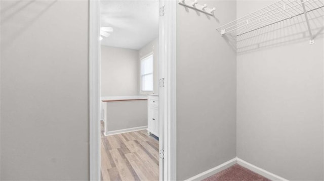 walk in closet with wood finished floors