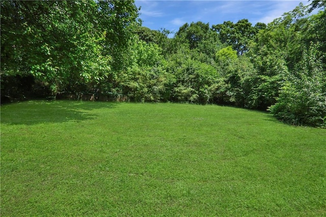 1202 Key Rd SE, Atlanta, GA 30316 - view of green lawn