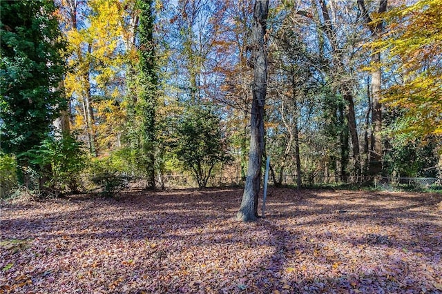 2329 Meadowlane Dr SW, Atlanta, GA 30311 - view of yard