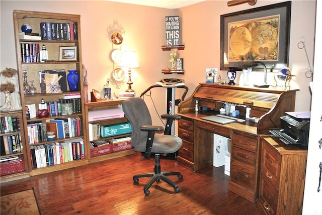 office featuring dark hardwood / wood-style floors