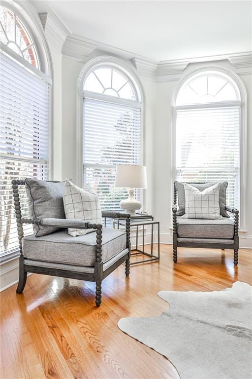 389 Mill Creek Bnd NE, Atlanta, GA 30307 - sitting room with baseboards, ornamental molding, and wood finished floors