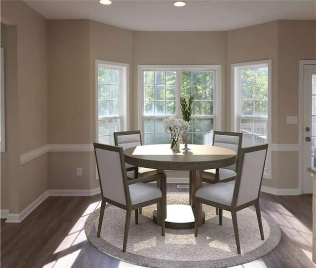 dining room with dark hardwood / wood-style floors