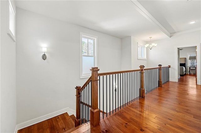 corridor with an inviting chandelier, hardwood / wood-style floors, and beam ceiling