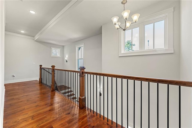 hall featuring dark hardwood / wood-style flooring, a chandelier, and a healthy amount of sunlight