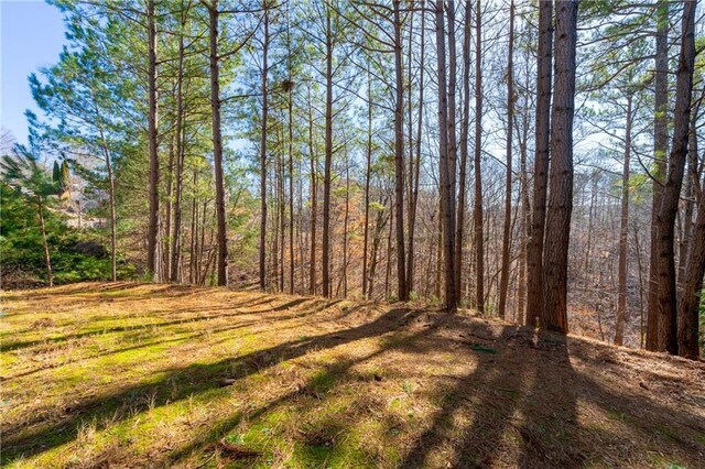 view of local wilderness