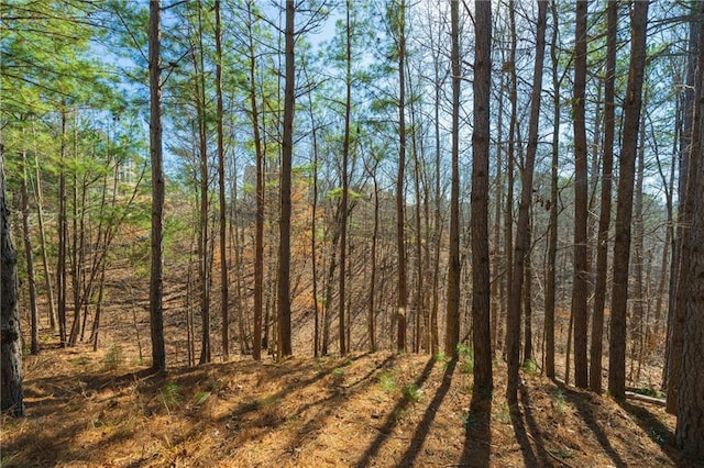 view of landscape