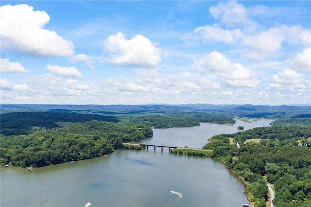 birds eye view of property with a water view and a view of trees