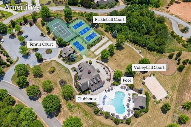 bird's eye view