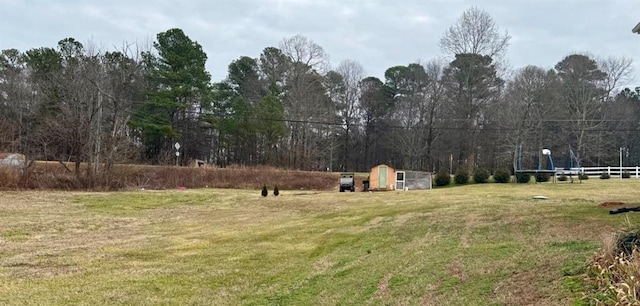 view of yard with an outdoor structure and a storage unit