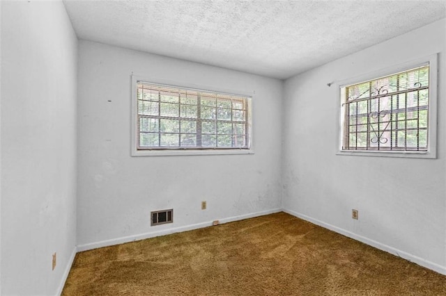 900 Fleetwood Cir, Atlanta, GA 30311 - unfurnished room featuring healthy amount of natural light, carpet floors, baseboards, and a textured ceiling