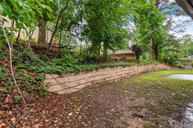900 Fleetwood Cir, Atlanta, GA 30311 - view of yard
