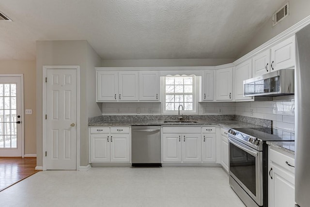 41 Pebble Ct, Hoschton, GA 30548 - kitchen featuring a sink, visible vents, a wealth of natural light, and appliances with stainless steel finishes