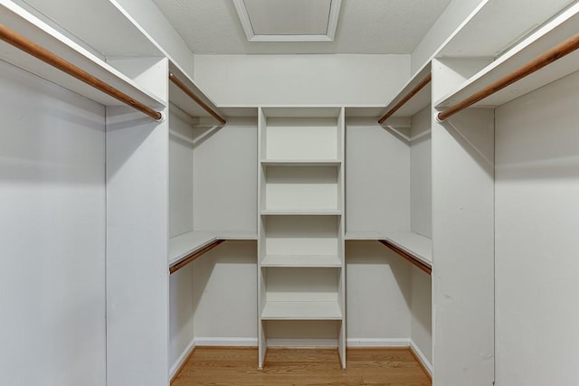 41 Pebble Ct, Hoschton, GA 30548 - spacious closet with light wood-style flooring