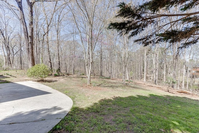 41 Pebble Ct, Hoschton, GA 30548 - view of yard featuring a patio and a forest view