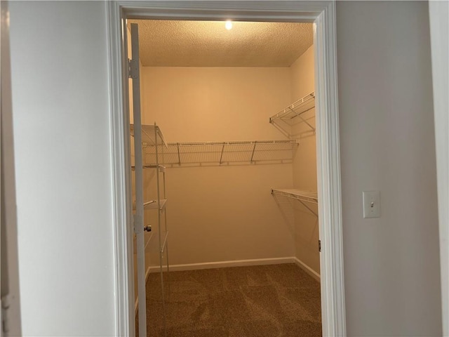 walk in closet featuring dark colored carpet