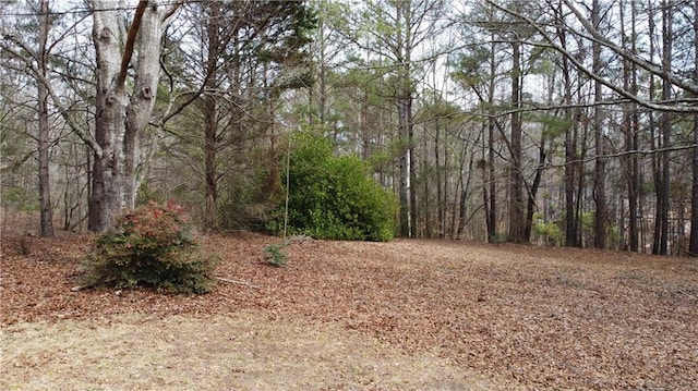 view of local wilderness