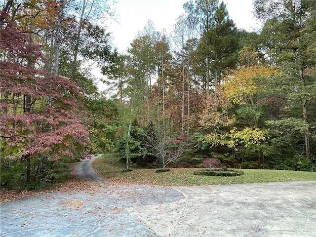 655 Chester Harris Dr, Dallas, GA 30132 - view of yard