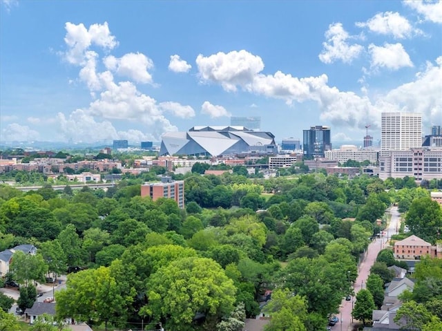 701 Pryor St SW Unit 5, Atlanta, GA 30315 - view of urban area