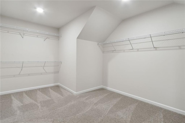 spacious closet with lofted ceiling and carpet floors