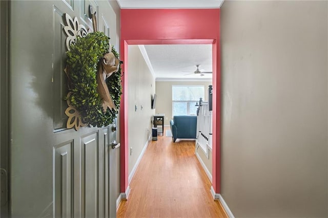 hallway featuring light hardwood / wood-style flooring and ornamental molding