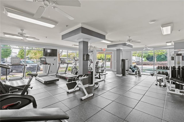 exercise room with ceiling fan and crown molding