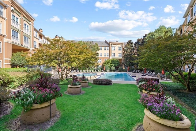 view of swimming pool with a yard