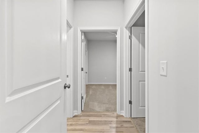 corridor featuring light wood-type flooring and light colored carpet