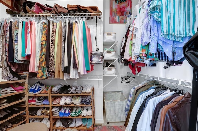 view of spacious closet