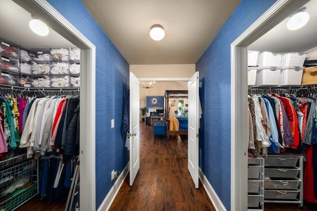 walk in closet featuring wood finished floors