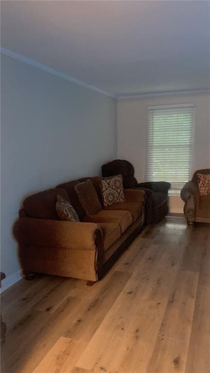 living room with wood-type flooring and crown molding