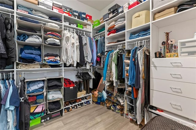 walk in closet with wood-type flooring