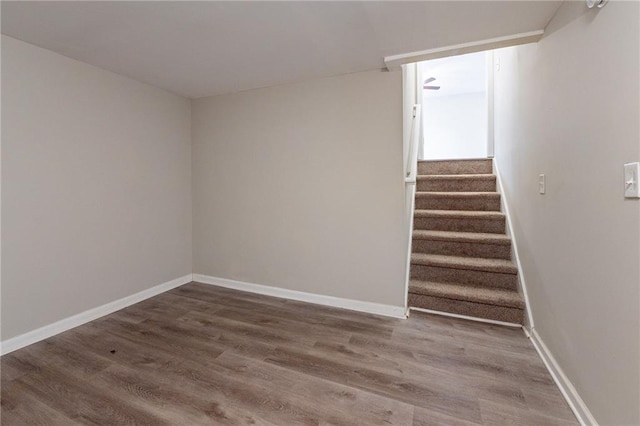 stairway featuring wood-type flooring