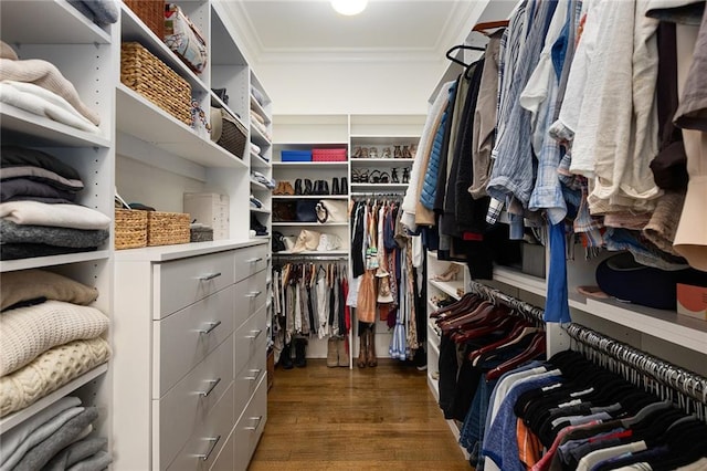 spacious closet with dark hardwood / wood-style floors