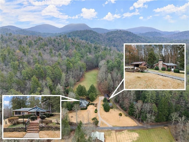 birds eye view of property with a mountain view